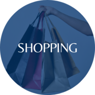 Link to slides on shopping scholar orientation