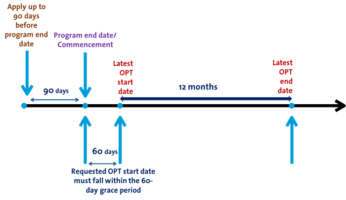 stem opt timeline