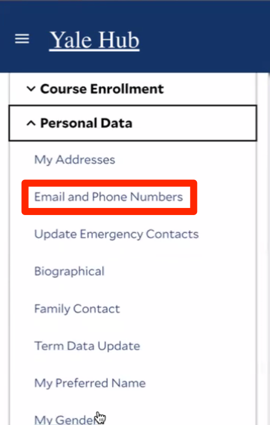 Email and Phone Number
