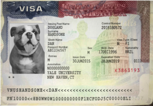 Example of a visa stamp