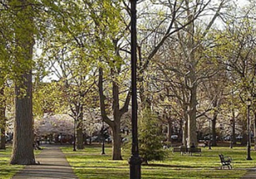 Event image for ISPY Meet-Up: Picnic in Wooster Square