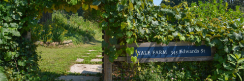 Event image for Lunch & Learn at Yale Farm